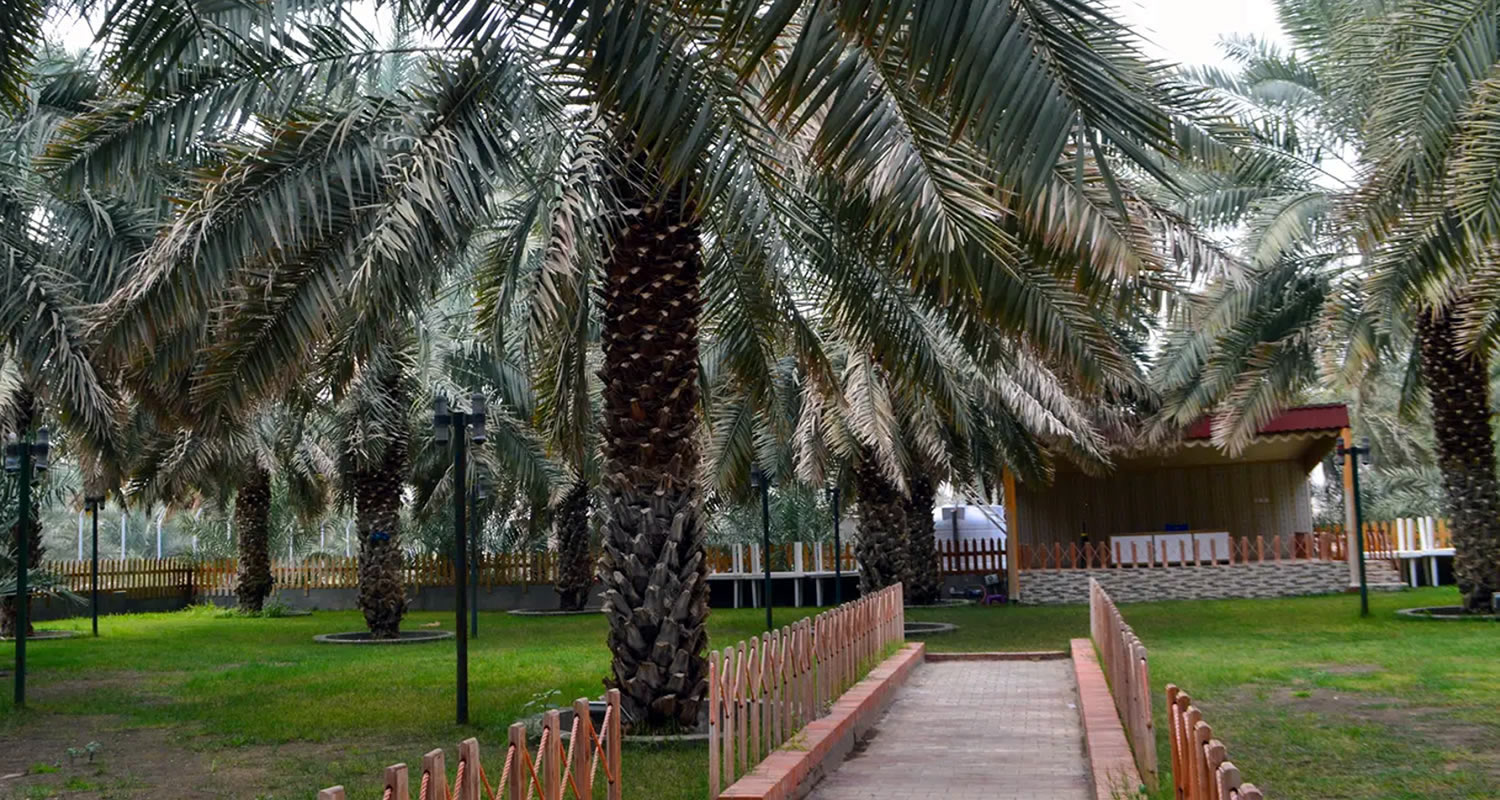 osmanli hurma bahcesi x3