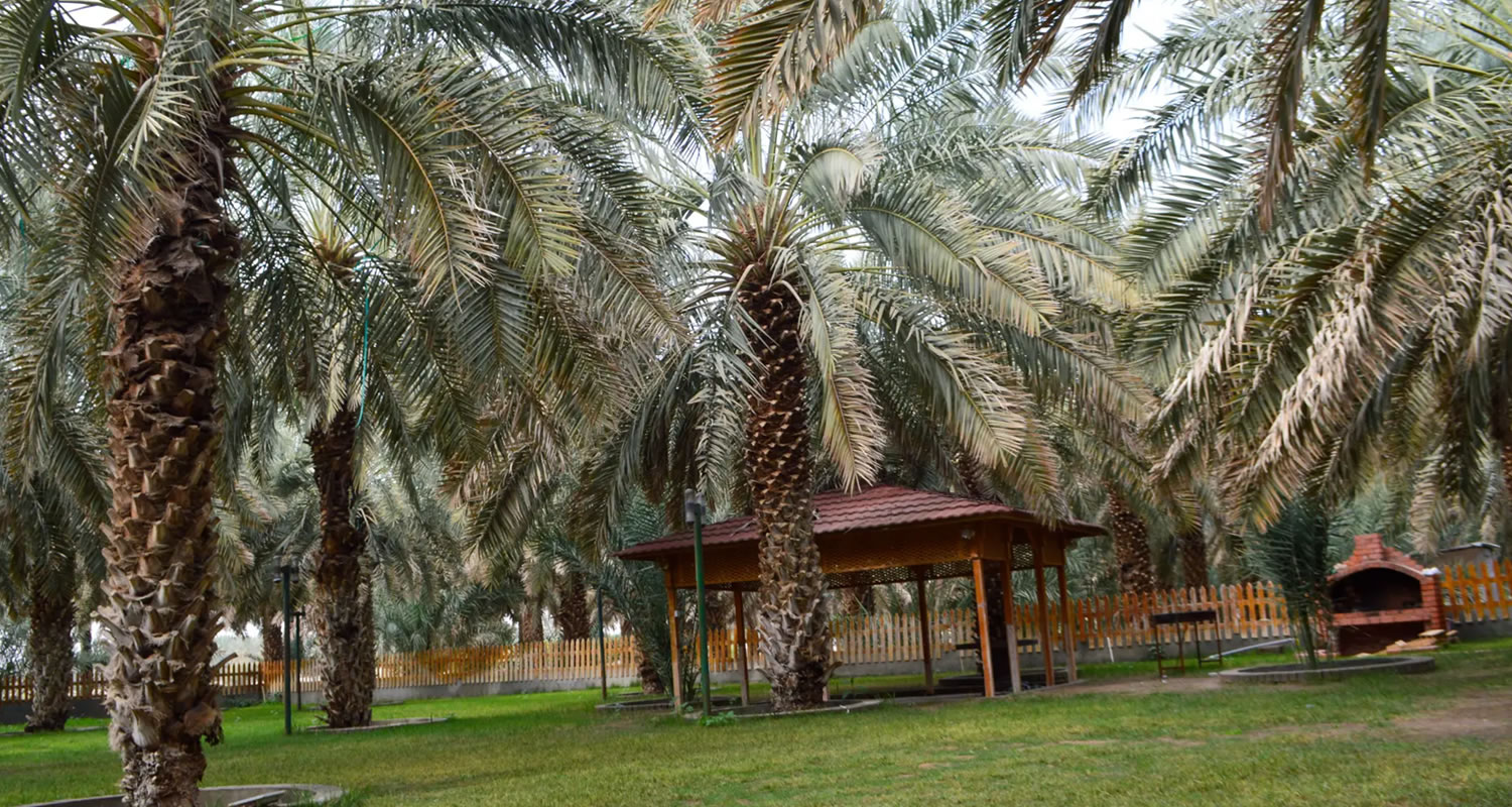 osmanli hurma bahcesi x5